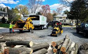 Best Lawn Pest Prevention  in Point Pleasant Beach, NJ