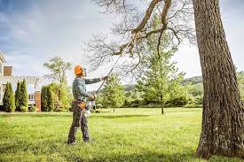 Best Soil Testing and Treatment  in Point Pleasant Beach, NJ
