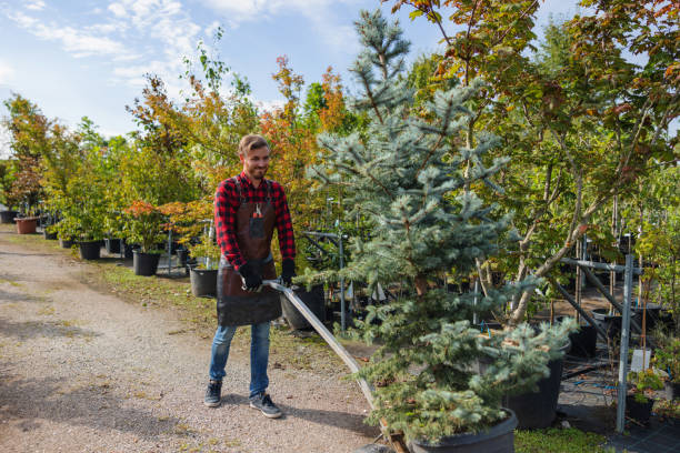 Leaf Removal in Point Pleasant Beach, NJ